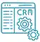 Custom CRM Development